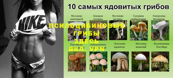 гашишное масло Баксан